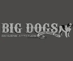 Big Dogs Big Attitude|Attitude Stripe T-Shirt