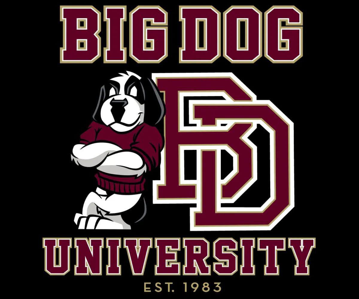 Big Dogs Sports|Bd University Burgundy Gold T-shirt