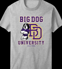 Big Dogs Sports|Bd University Purple Gold T-shirt