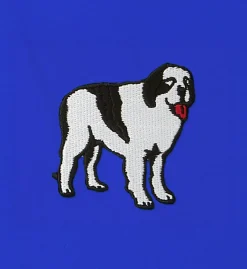 Big Dogs Solids|Classic Solid Logo Boxers