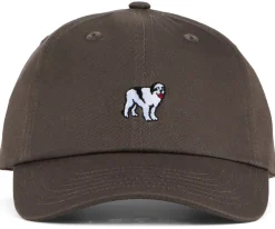 Big Dogs Hats|Dog Dad Icon Hat