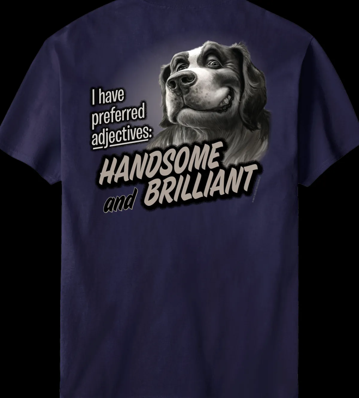 Big Dogs Humor|Handsome And Brilliant T-Shirt