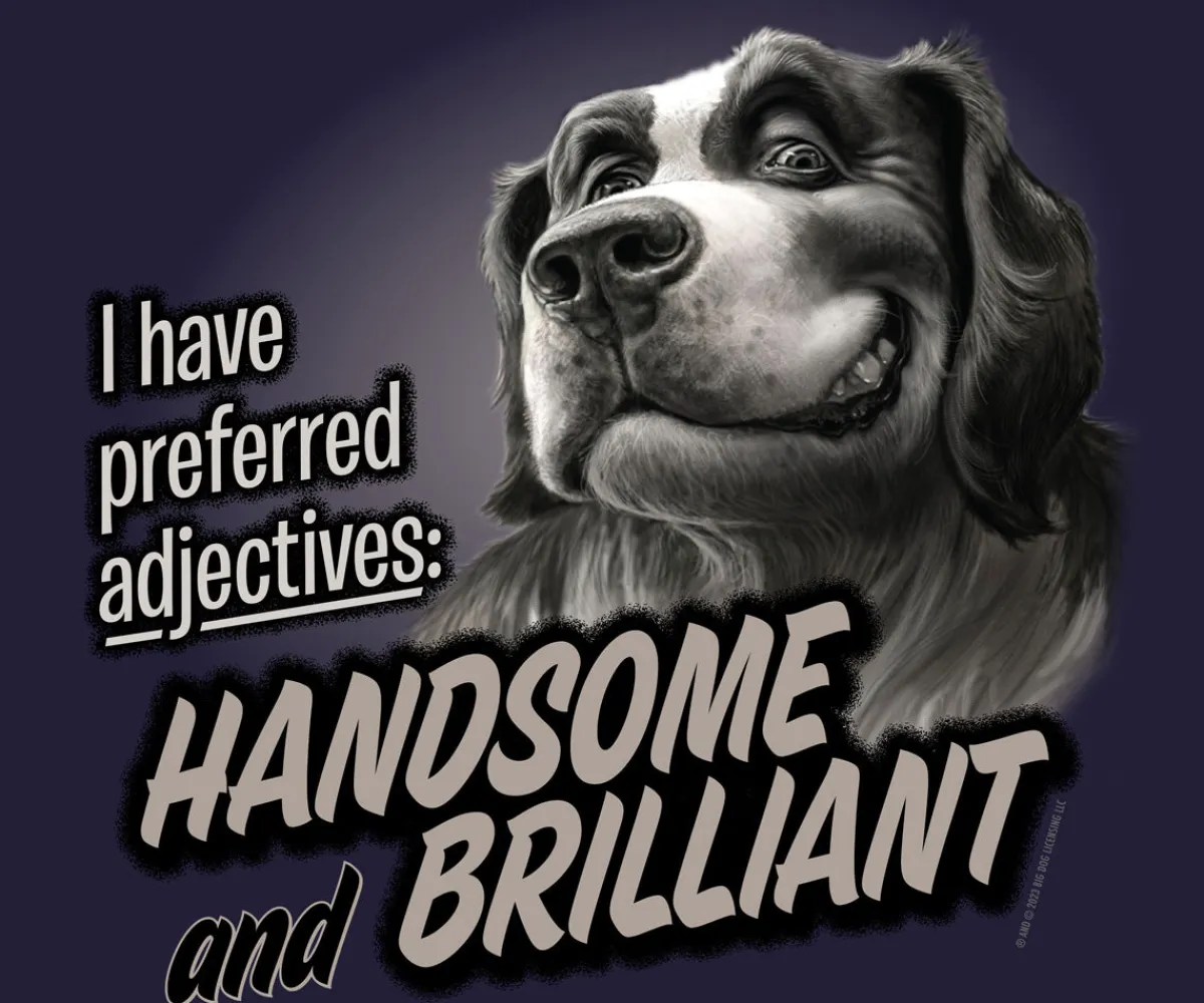 Big Dogs Humor|Handsome And Brilliant T-Shirt