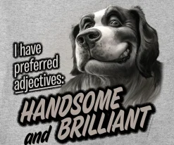 Big Dogs Humor|Handsome And Brilliant T-Shirt