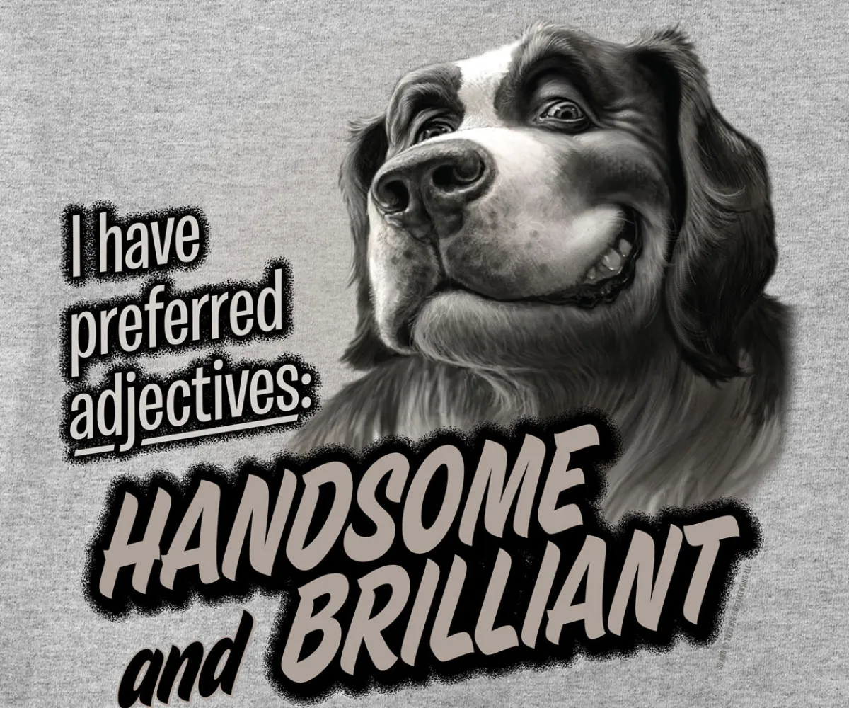 Big Dogs Humor|Handsome And Brilliant T-Shirt