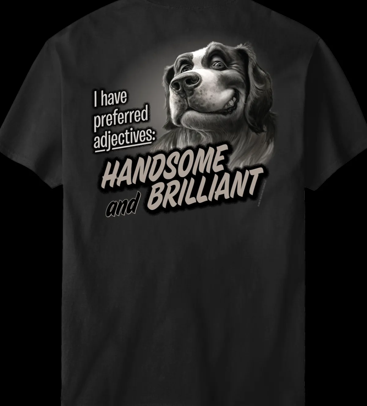 Big Dogs Humor|Handsome And Brilliant T-Shirt