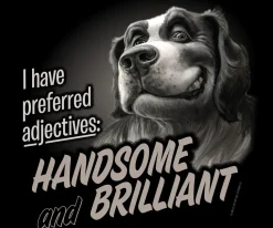 Big Dogs Humor|Handsome And Brilliant T-Shirt