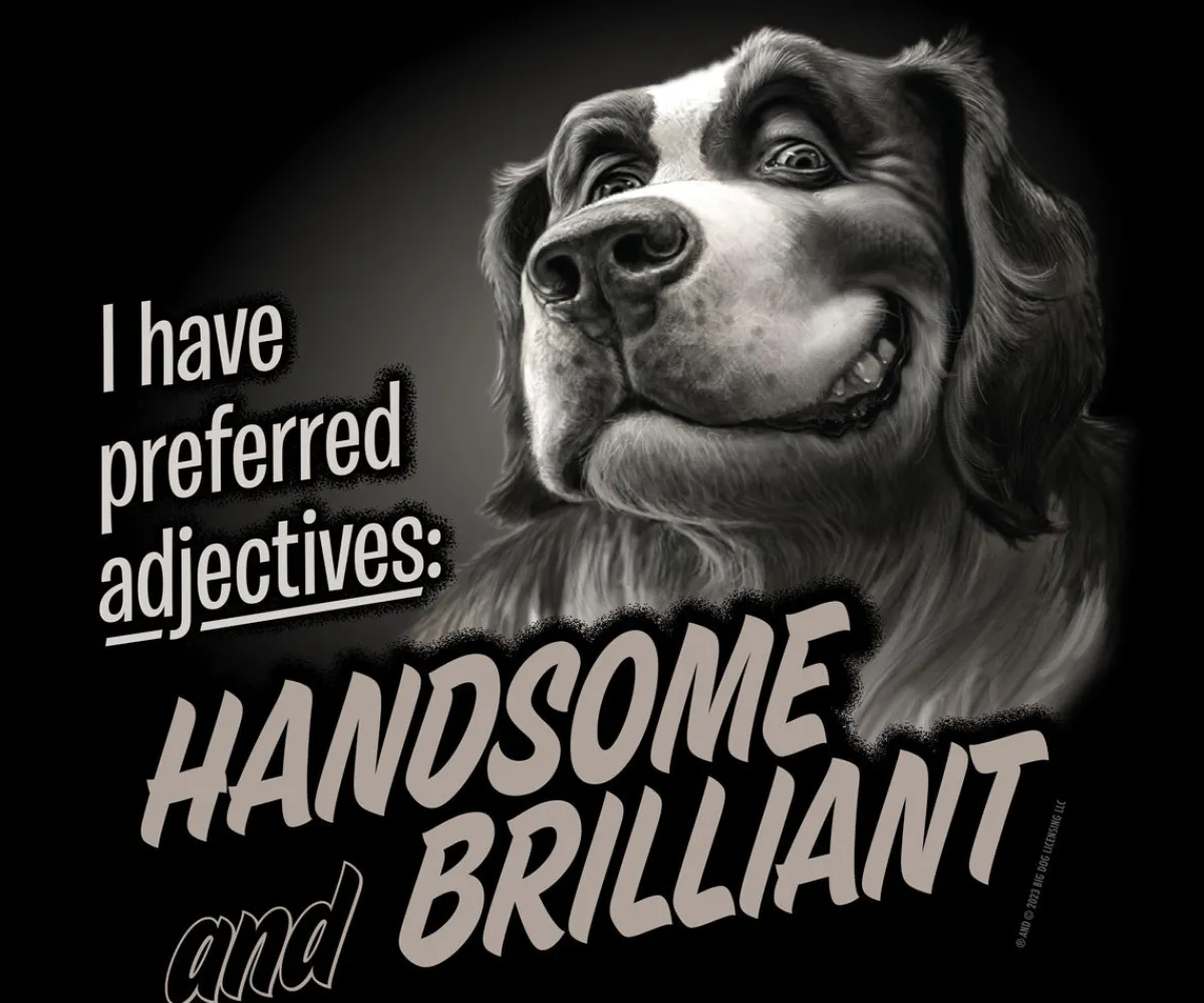 Big Dogs Humor|Handsome And Brilliant T-Shirt