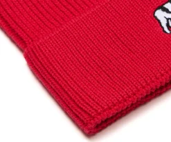 Big Dogs Beanies|Icon Beanie