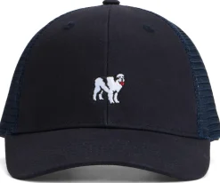 Big Dogs Hats|Icon Trucker Hat