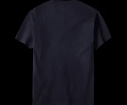 Big Dogs Patriotic|Chest Stripe|Live Free Chest Stripe T-Shirt