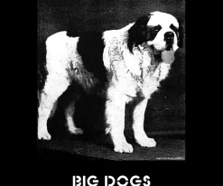 Big Dogs Logo Tees|Photo Logo T-Shirt