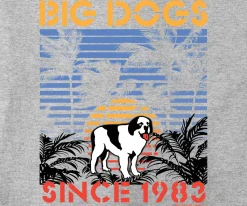 Big Dogs Logo Tees|Sunset Stripe T-Shirt