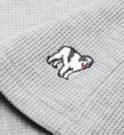 Big Dogs Waffle Knit Volley|Waffle Knit Volley Short